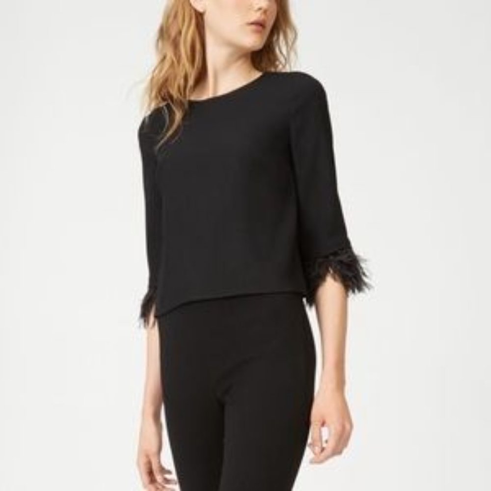 Club Monaco Neriek Feather Sleeved Top